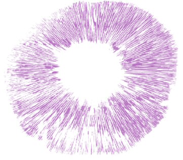 spore print - purple